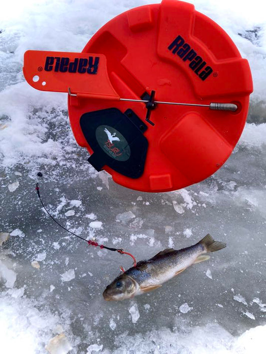 Tamotsu Ice Fishing Rig (Pack of 2)