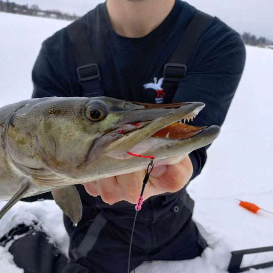 Tamotsu Ice Fishing Rig (Pack of 2)